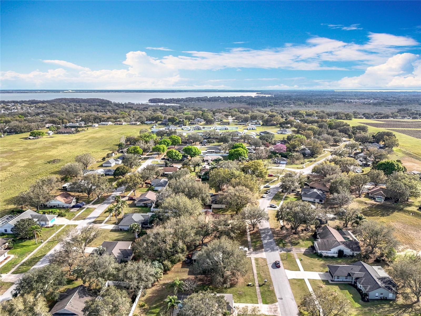 37042 SANDY LN, GRAND ISLAND, FL, 32735
