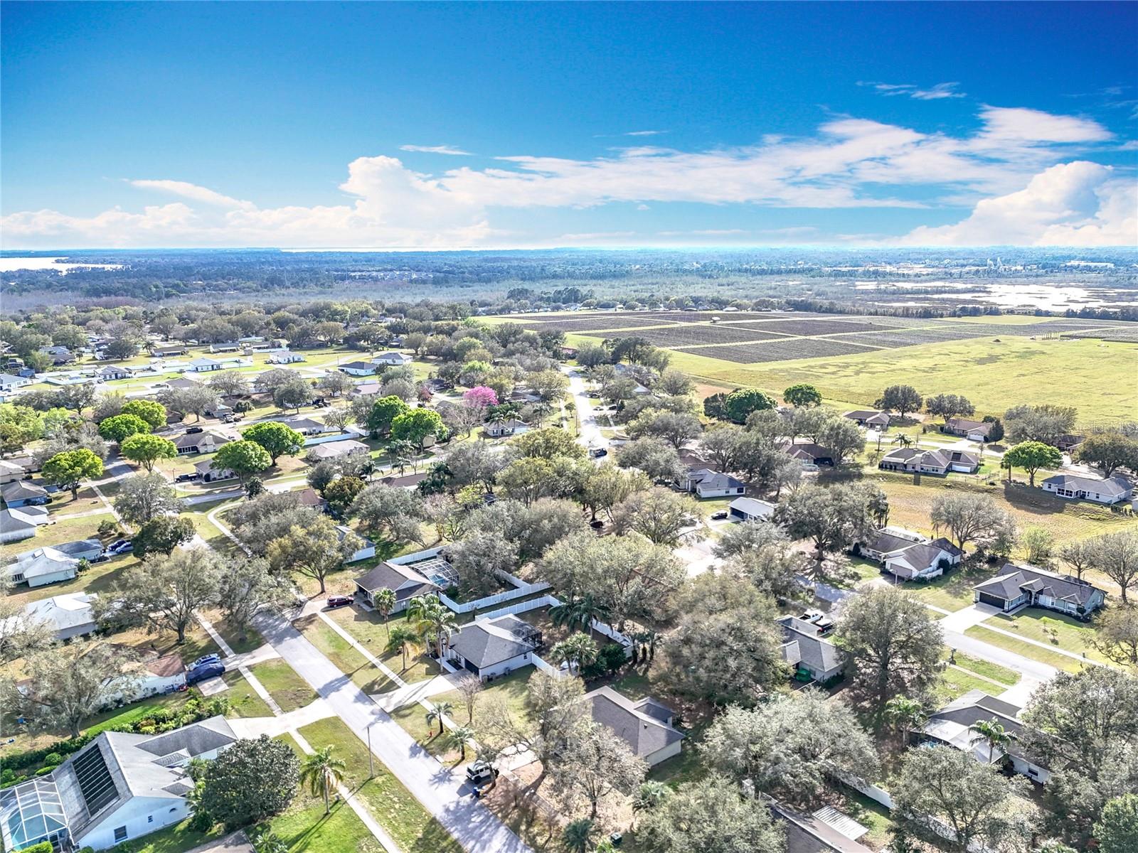 37042 SANDY LN, GRAND ISLAND, FL, 32735