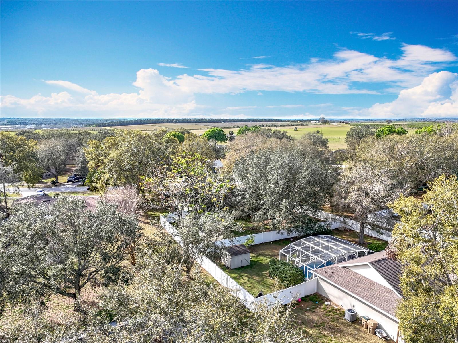 37042 SANDY LN, GRAND ISLAND, FL, 32735