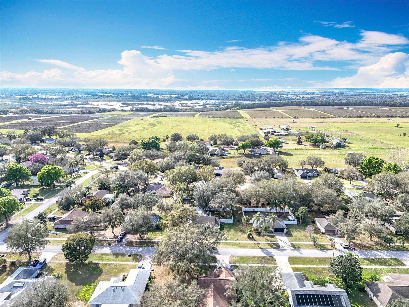 37042 SANDY LN, GRAND ISLAND, FL, 32735