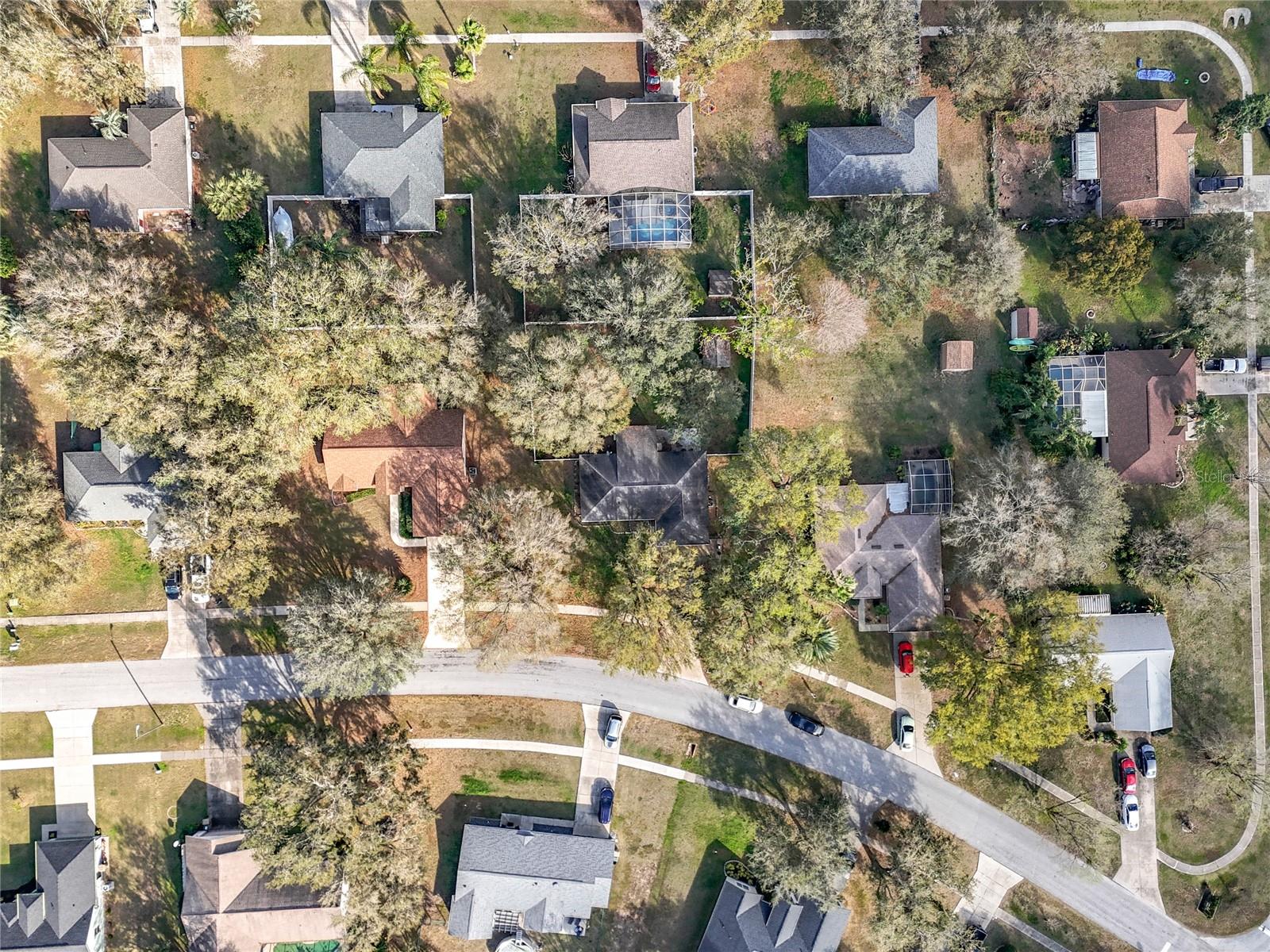 37042 SANDY LN, GRAND ISLAND, FL, 32735