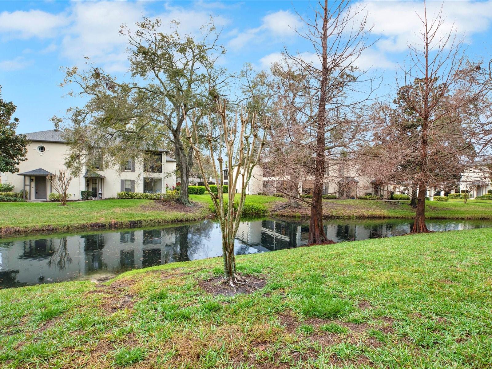 4524 SOUTHAMPTON CT #4524, TAMPA, FL, 33618