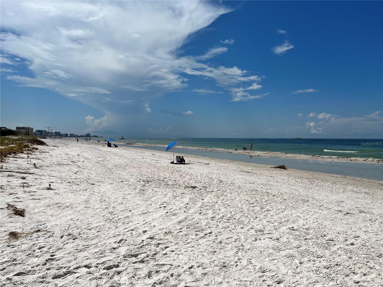 880 MANDALAY AVE #N105, CLEARWATER BEACH, FL, 33767