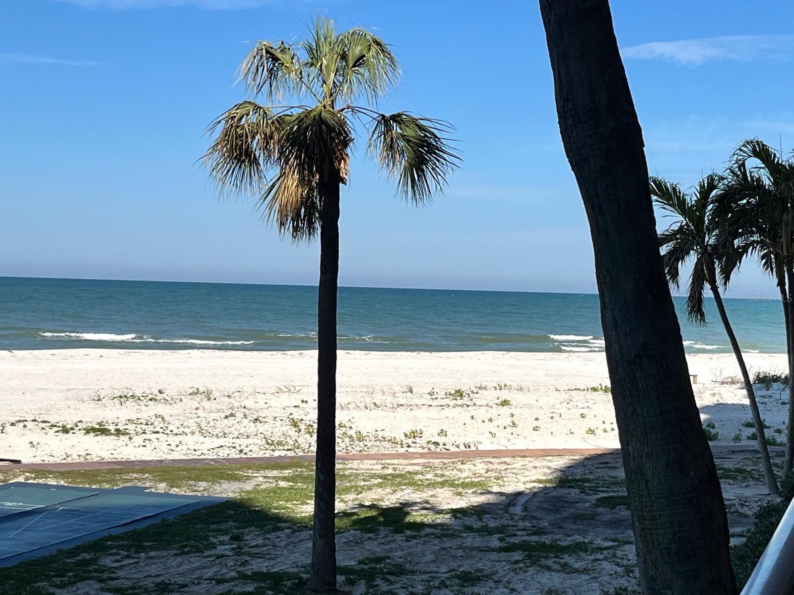 880 MANDALAY AVE #N105, CLEARWATER BEACH, FL, 33767