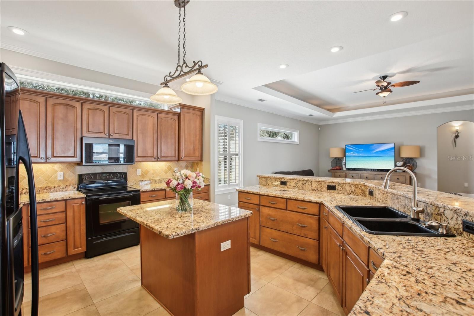 11145 MOUNTAIN MOCKINGBIRD RD, WEEKI WACHEE, FL, 34614