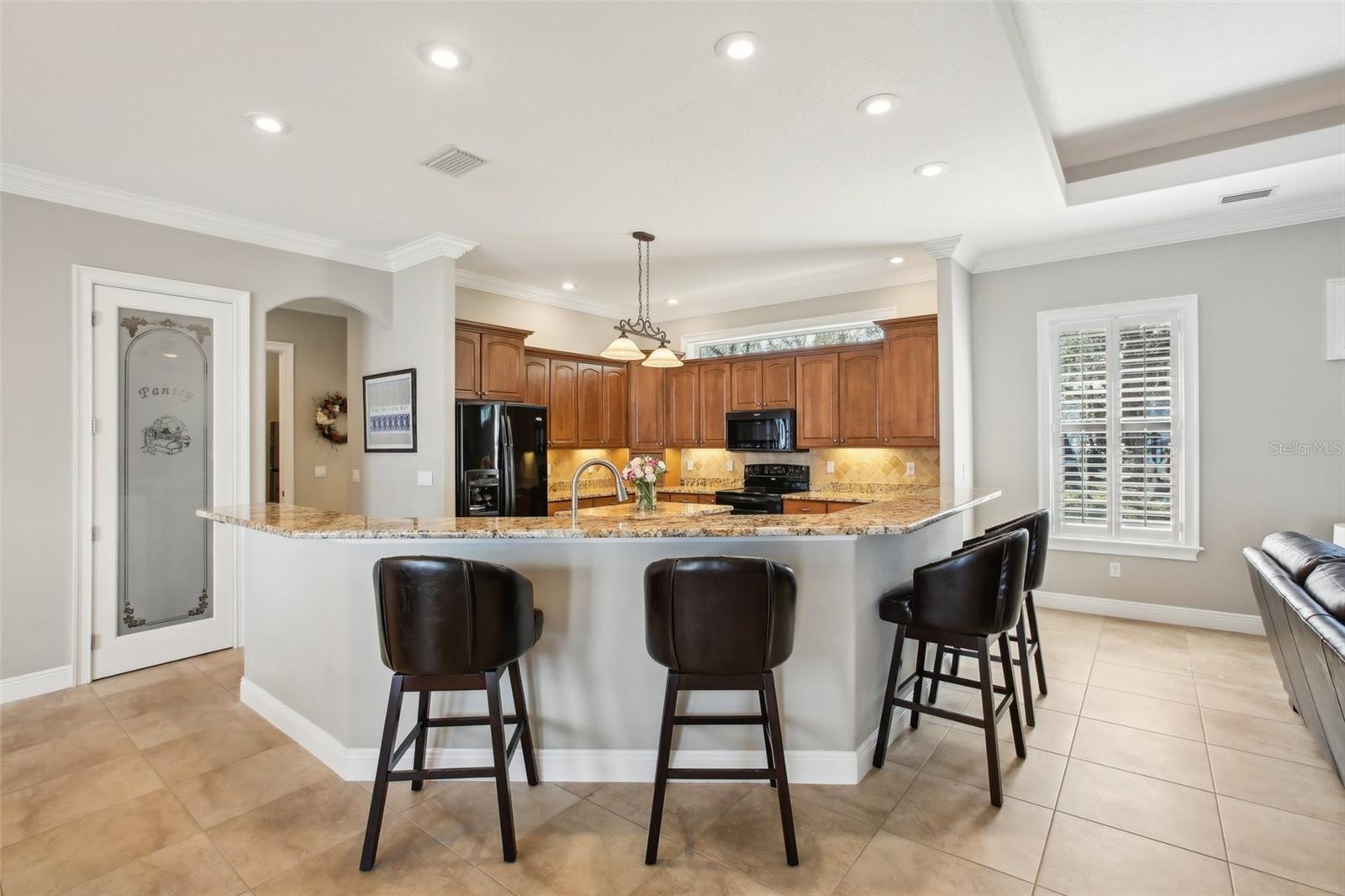 11145 MOUNTAIN MOCKINGBIRD RD, WEEKI WACHEE, FL, 34614