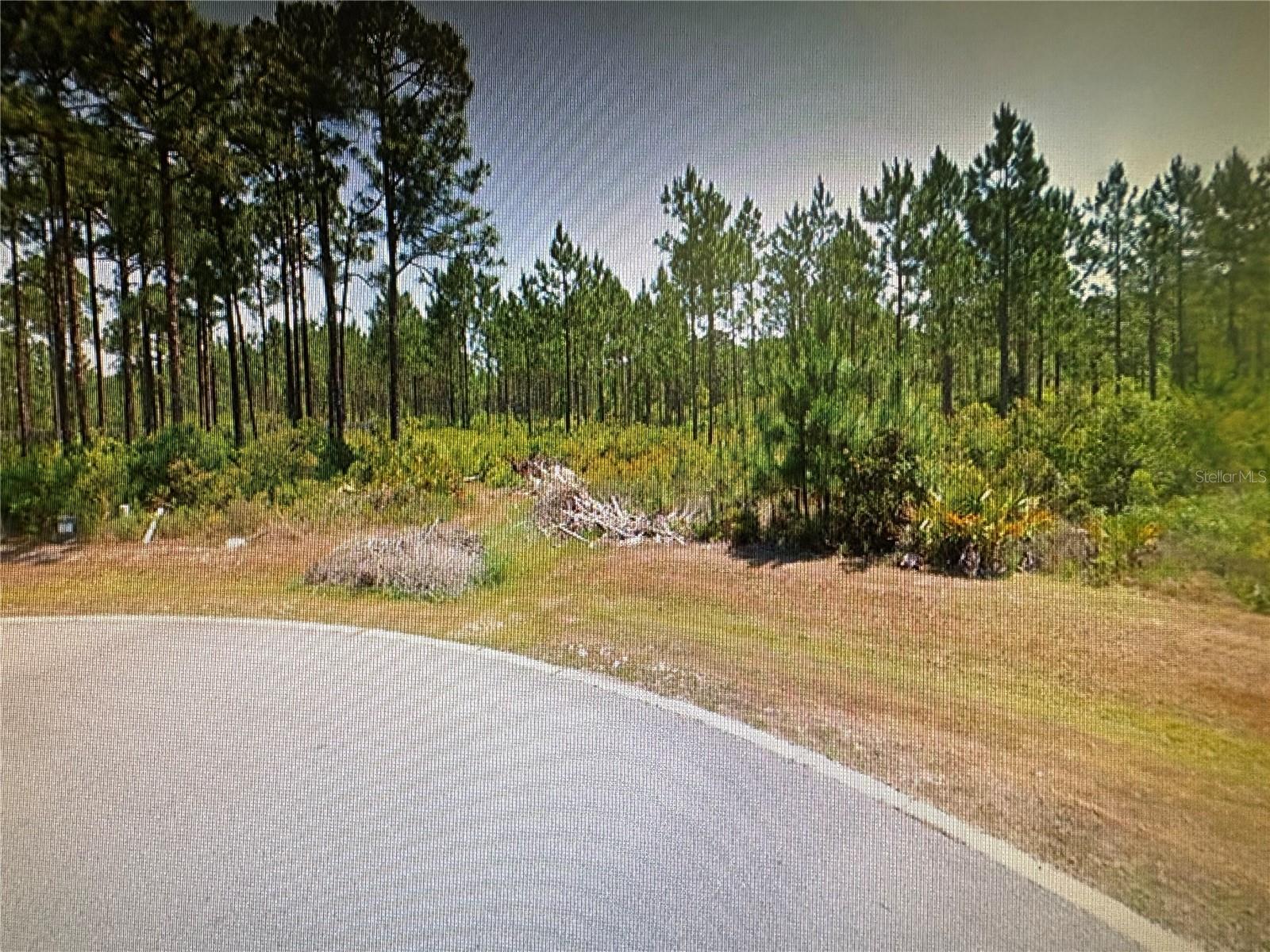 SEA TURTLE DR, PORT ST JOE, FL, 32456