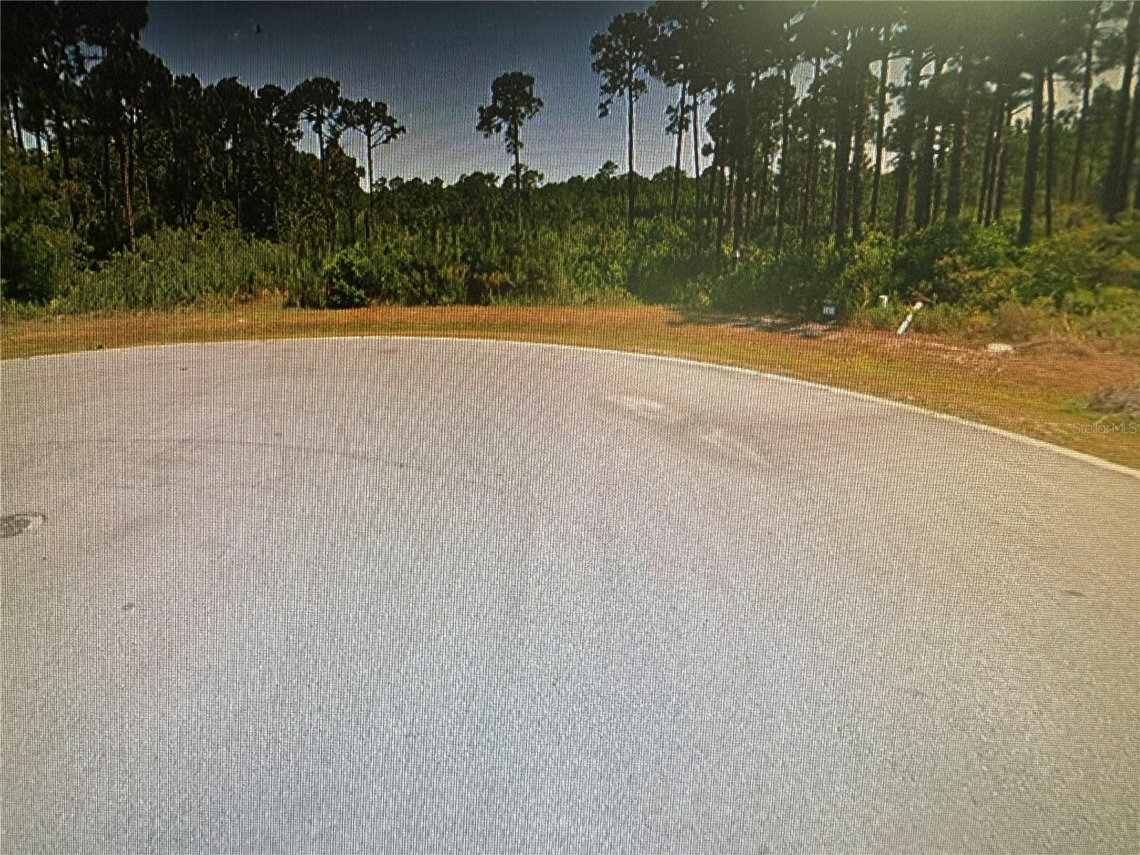 SEA TURTLE DR, PORT ST JOE, FL, 32456