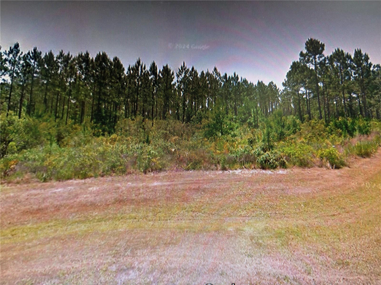 SEA TURTLE DR, PORT ST JOE, FL, 32456