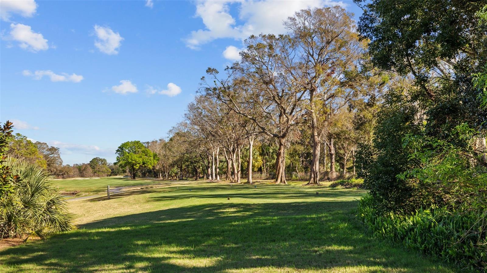 632 ROYAL DORNOCK CT, TARPON SPRINGS, FL, 34688