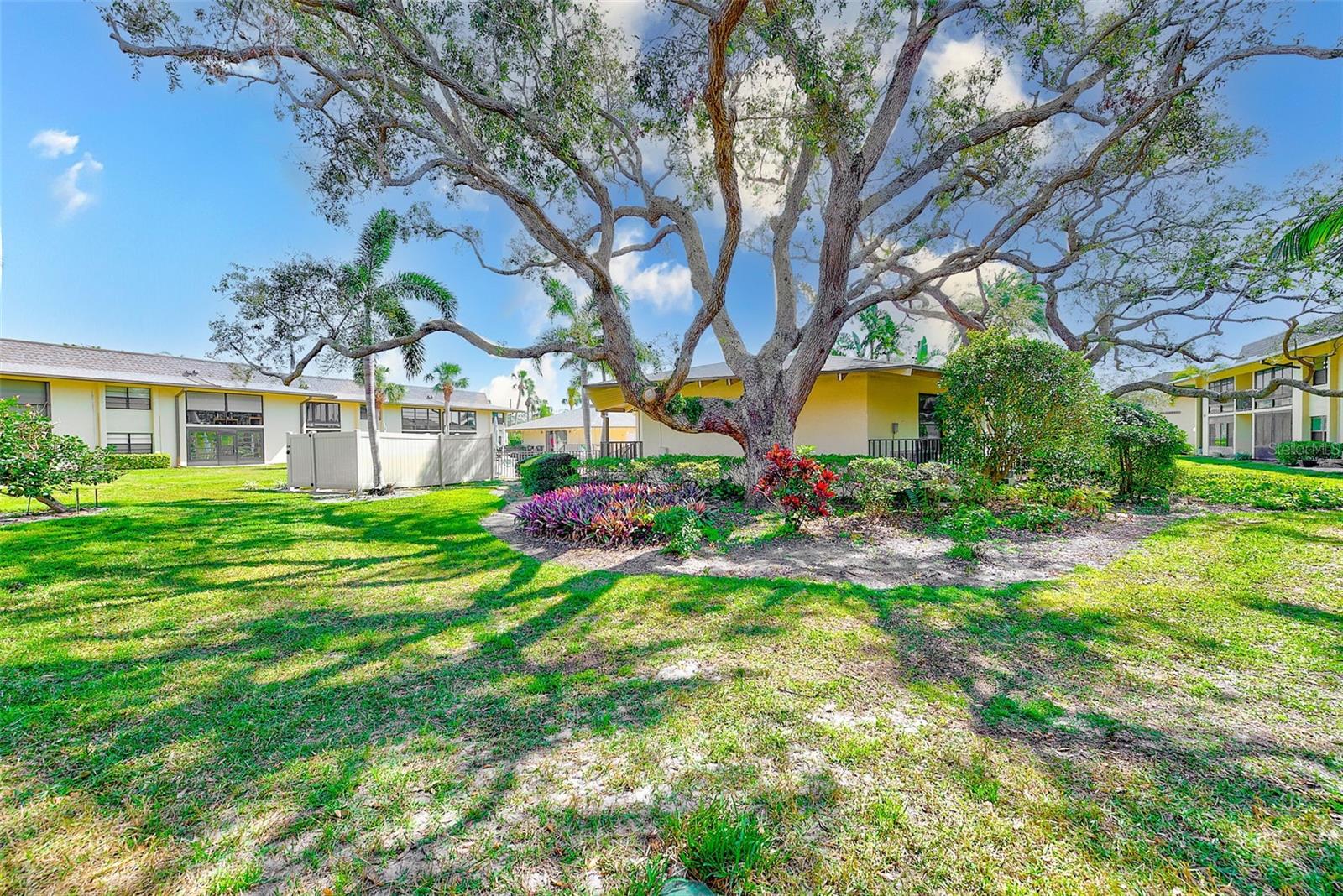 12300 VONN RD #2104, LARGO, FL, 33774
