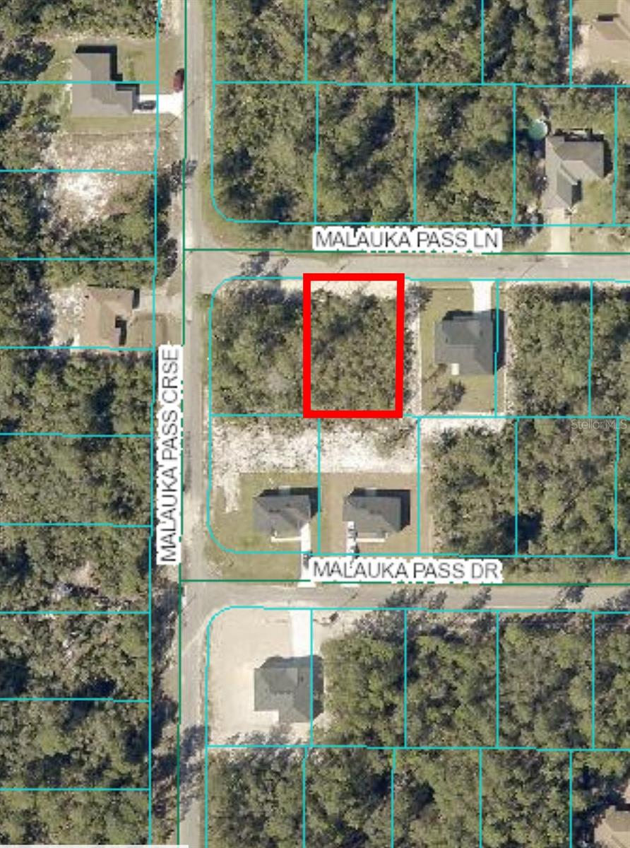 00 MALAUKA PASS LN #Lot 9, OCKLAWAHA, FL, 32179