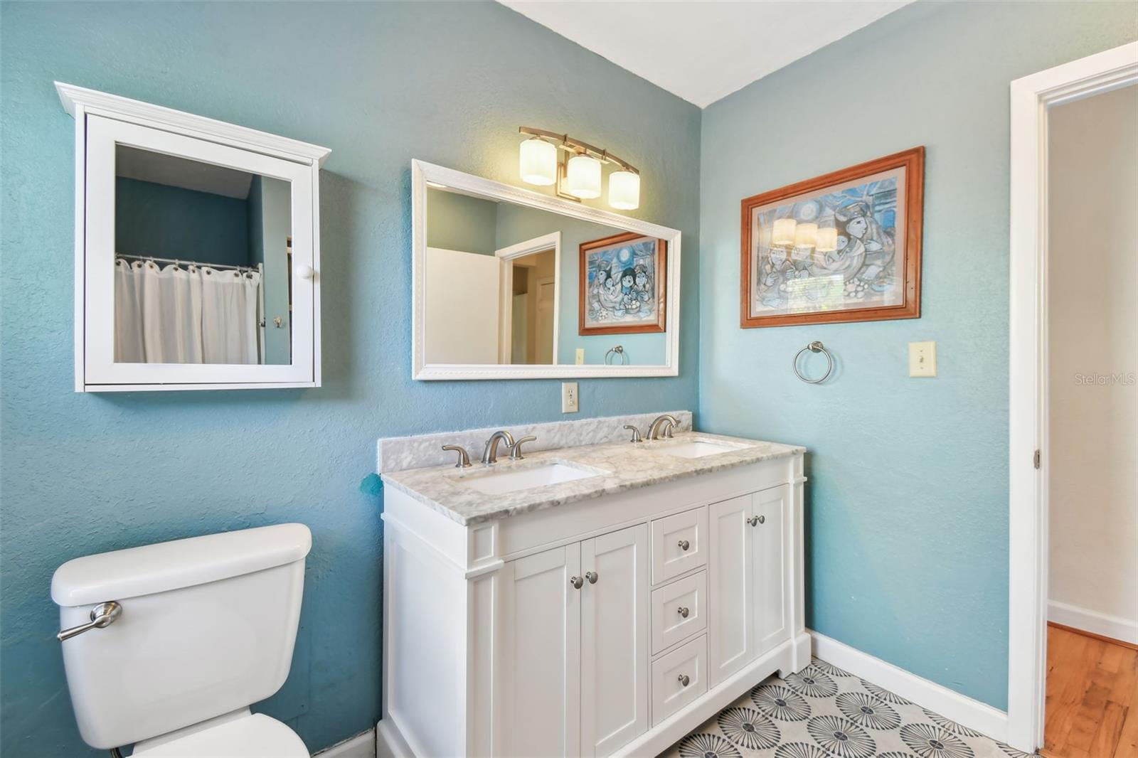 223 33RD AVE N, ST PETERSBURG, FL, 33704