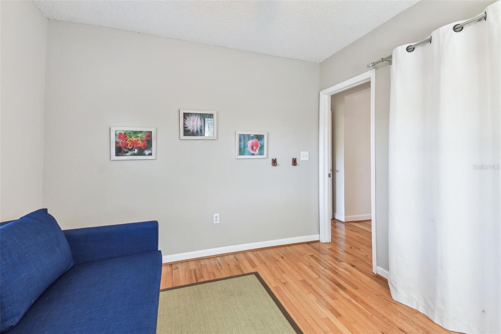 223 33RD AVE N, ST PETERSBURG, FL, 33704