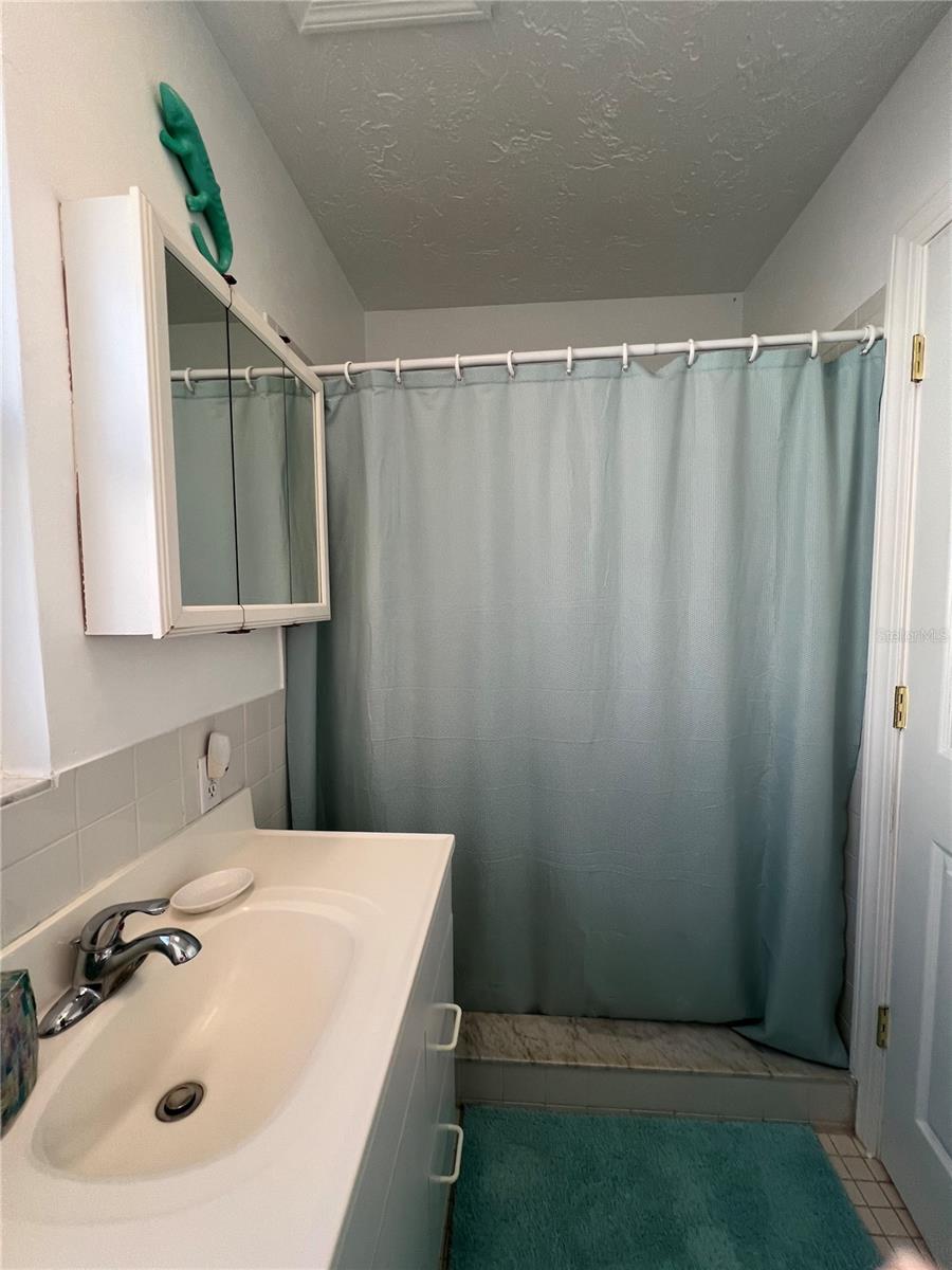 8316 6TH ST N #Mother-in-Law Suite, ST PETERSBURG, FL, 33702