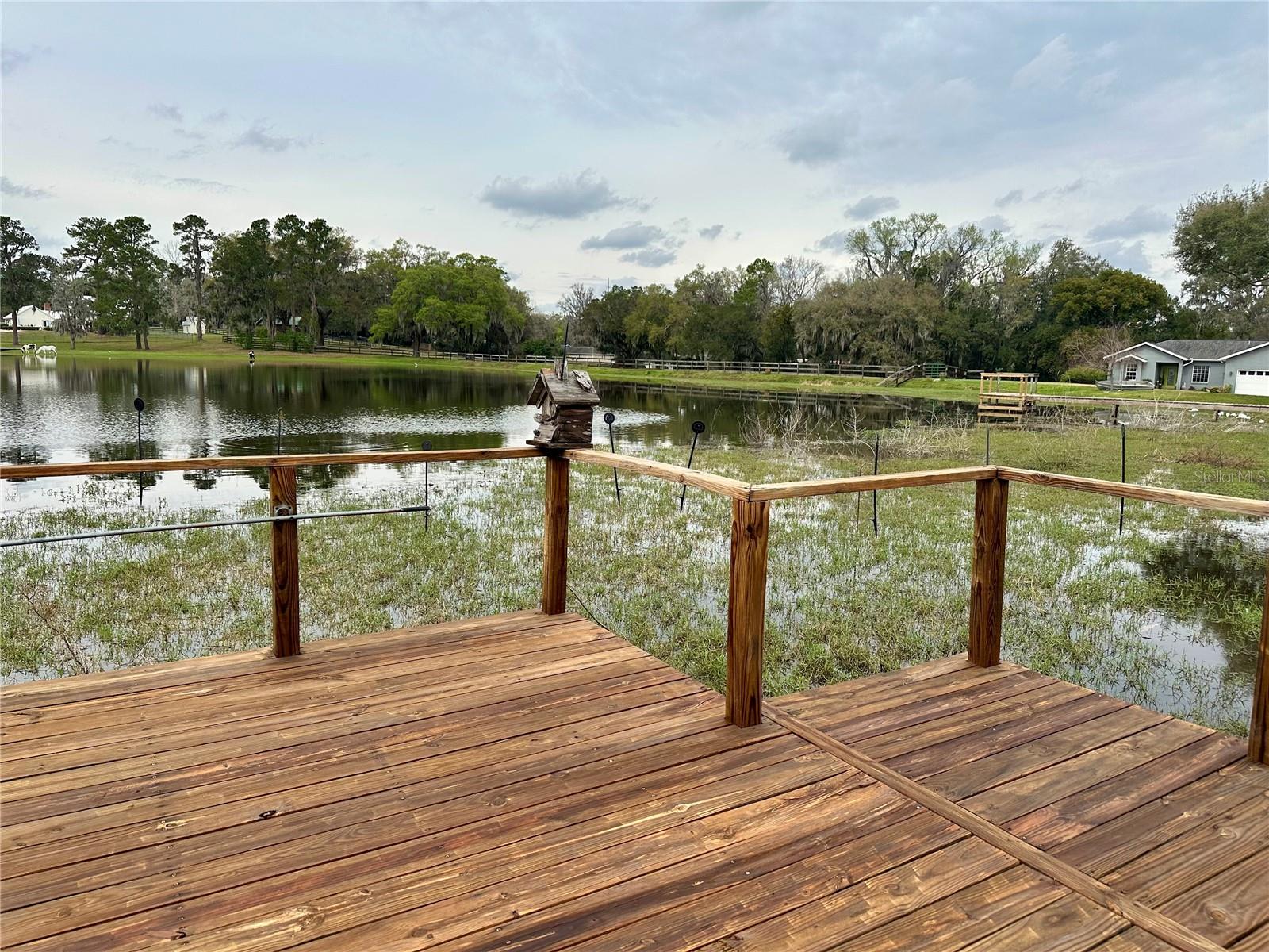 12066 SE 60TH AVENUE RD, BELLEVIEW, FL, 34420