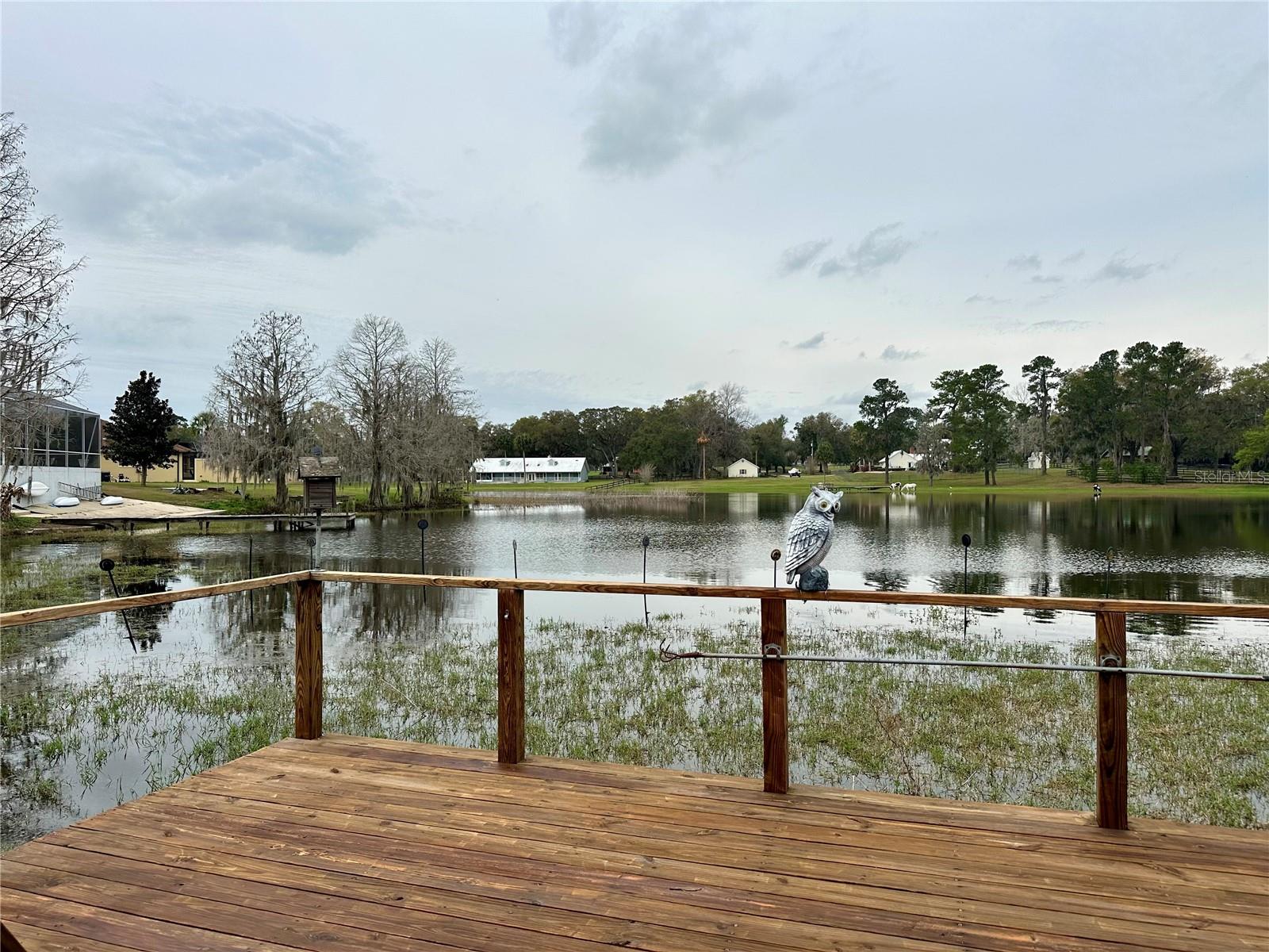 12066 SE 60TH AVENUE RD, BELLEVIEW, FL, 34420