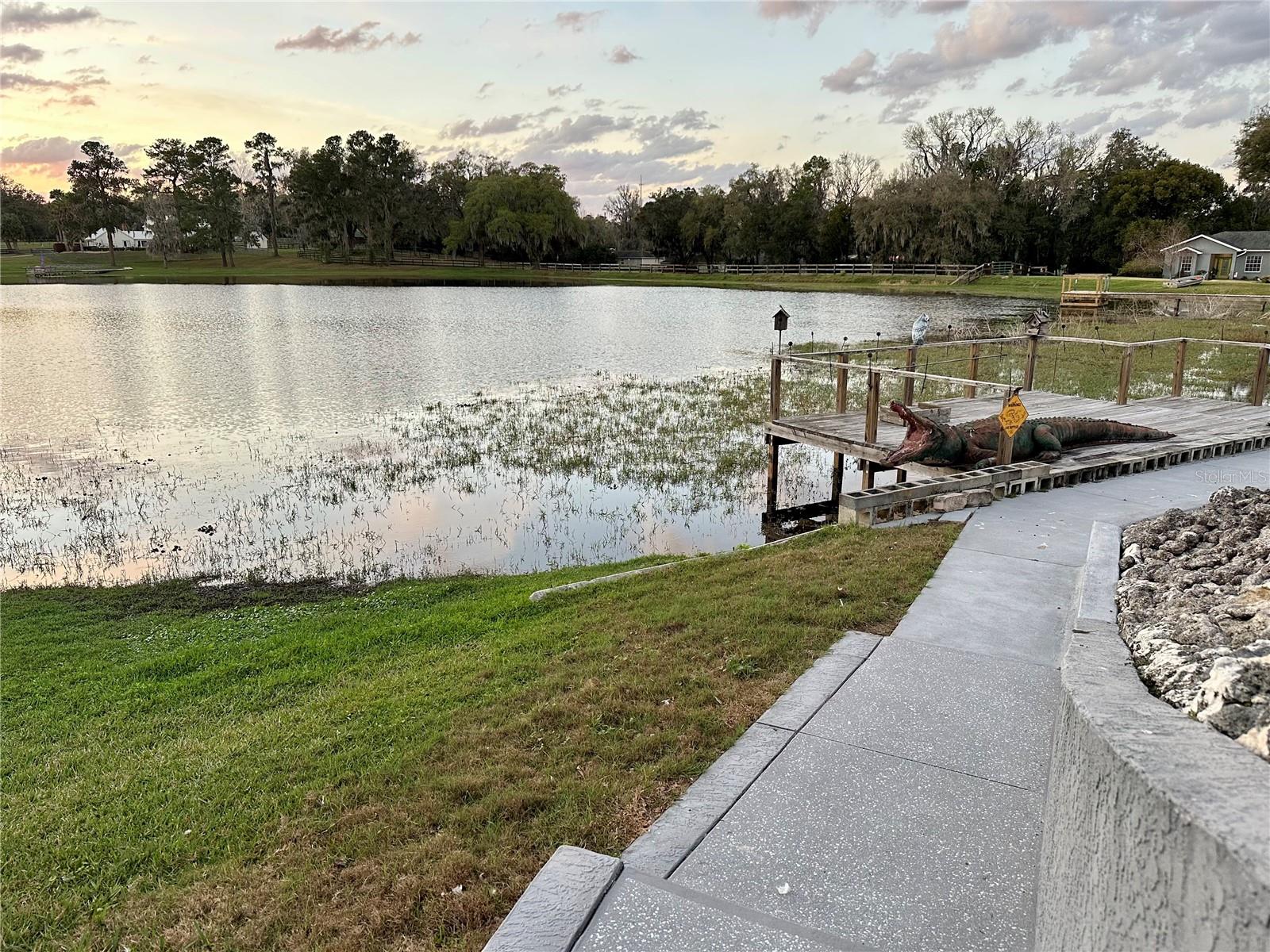 12066 SE 60TH AVENUE RD, BELLEVIEW, FL, 34420