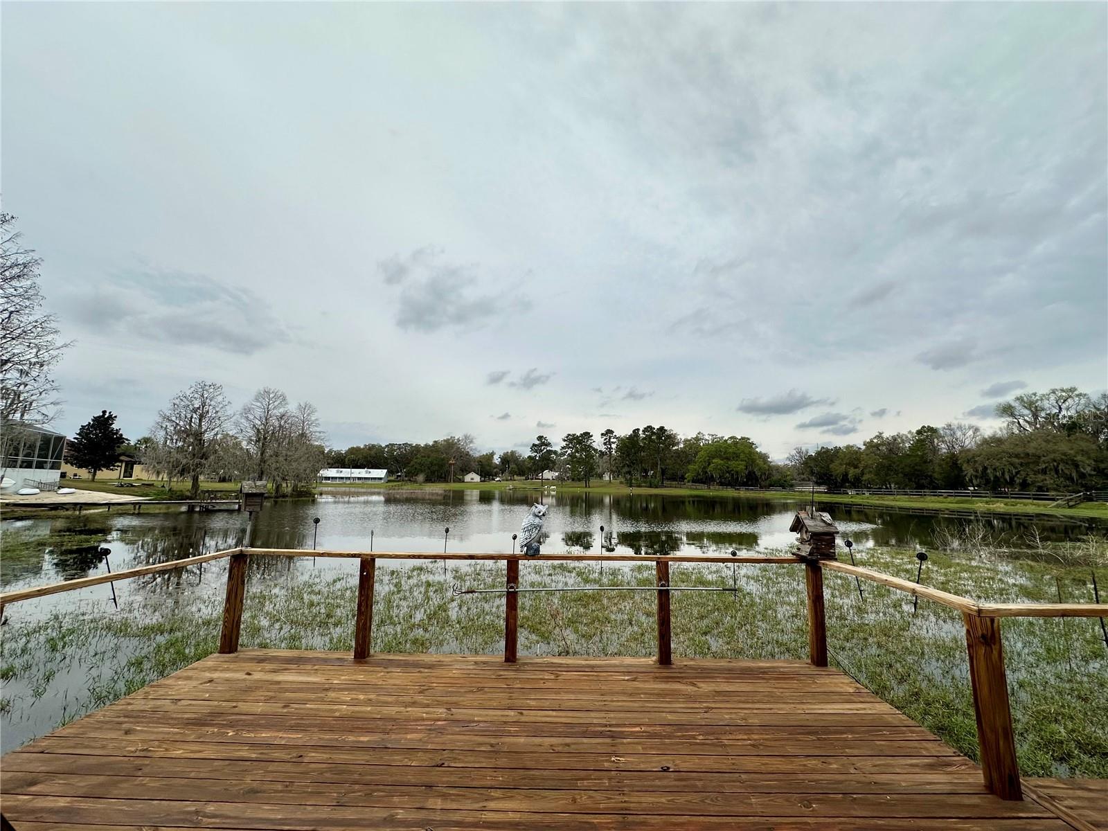 12066 SE 60TH AVENUE RD, BELLEVIEW, FL, 34420