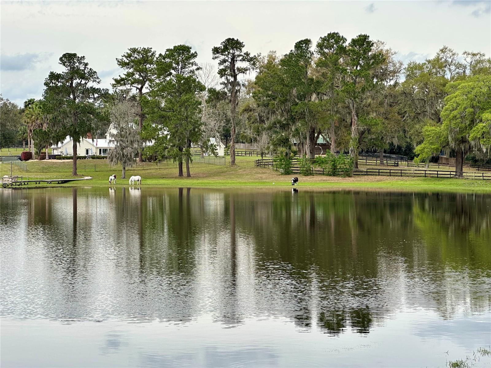 12066 SE 60TH AVENUE RD, BELLEVIEW, FL, 34420