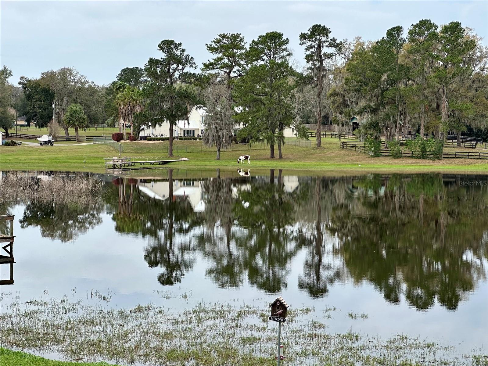 12066 SE 60TH AVENUE RD, BELLEVIEW, FL, 34420