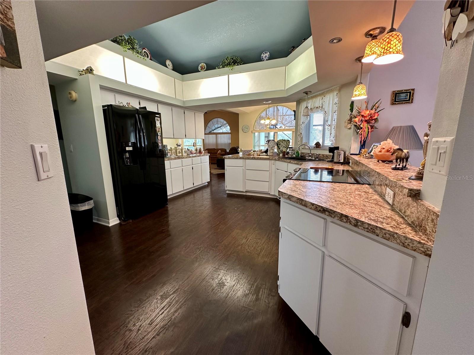 12066 SE 60TH AVENUE RD, BELLEVIEW, FL, 34420