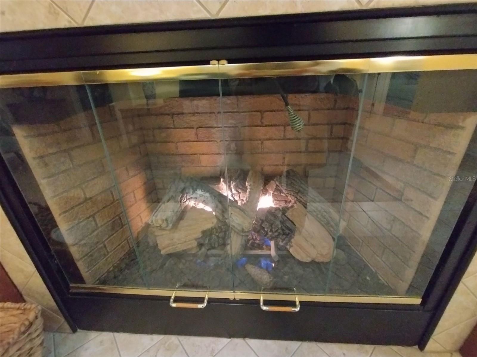 1670 KENSINGTON PL, THE VILLAGES, FL, 32162