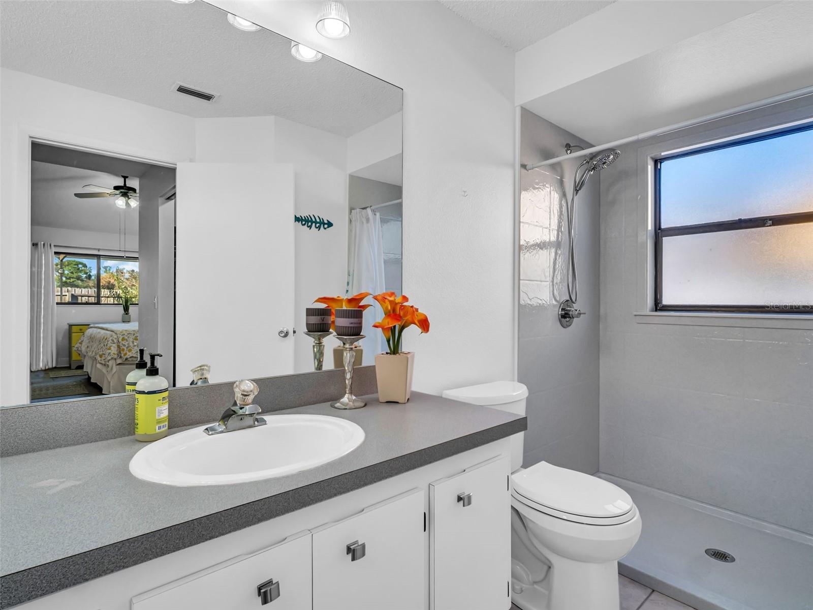 2441 BLOSSOM LAKE DR, HOLIDAY, FL, 34691