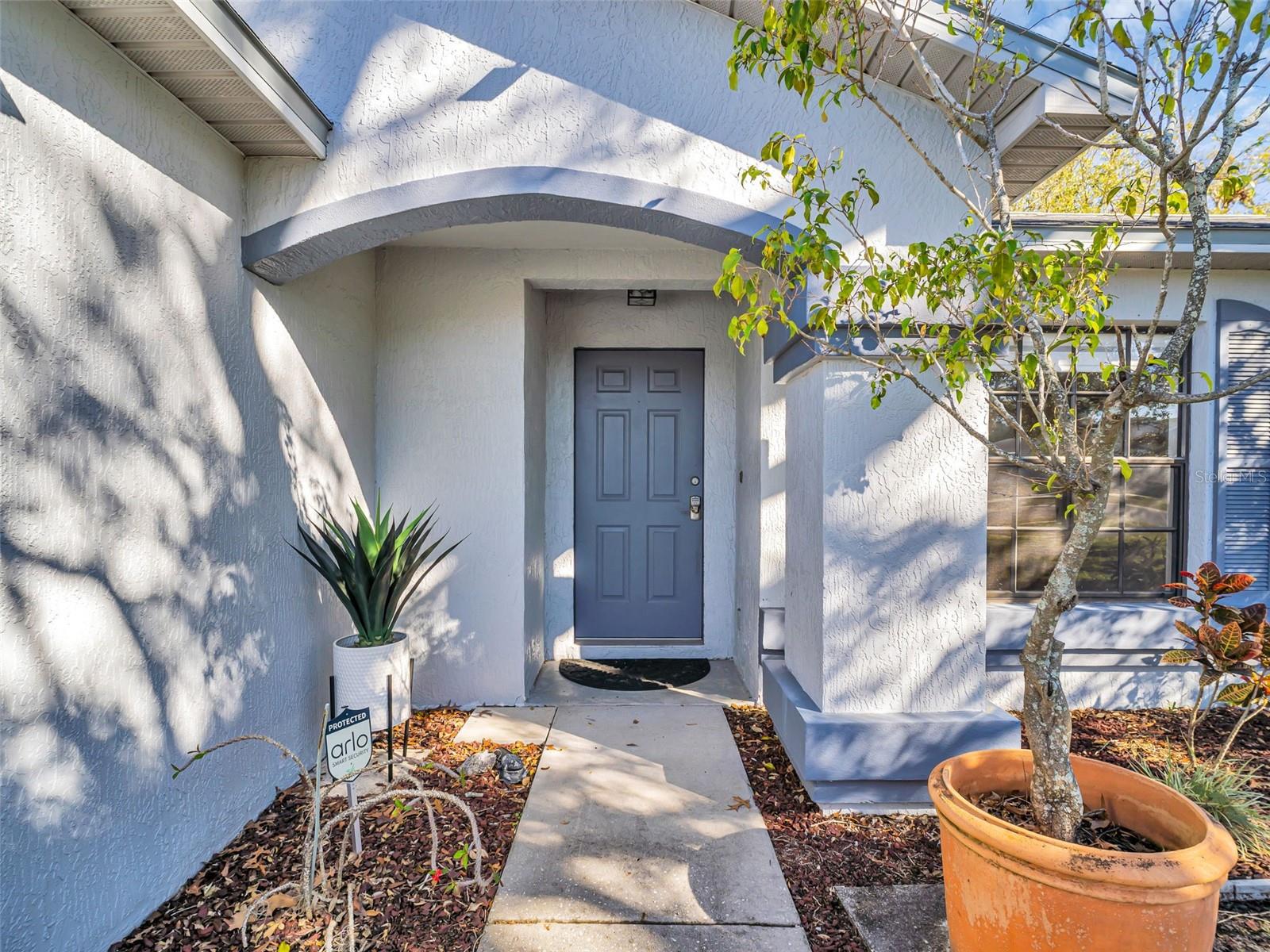 2441 BLOSSOM LAKE DR, HOLIDAY, FL, 34691