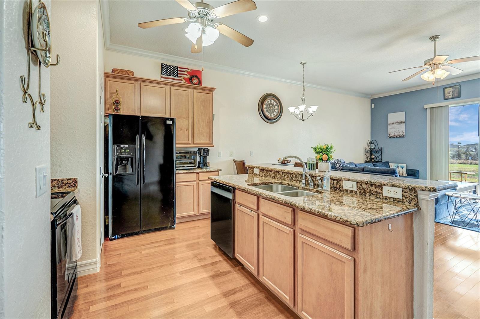 1037 GREEN GATE BLVD, GROVELAND, FL, 34736