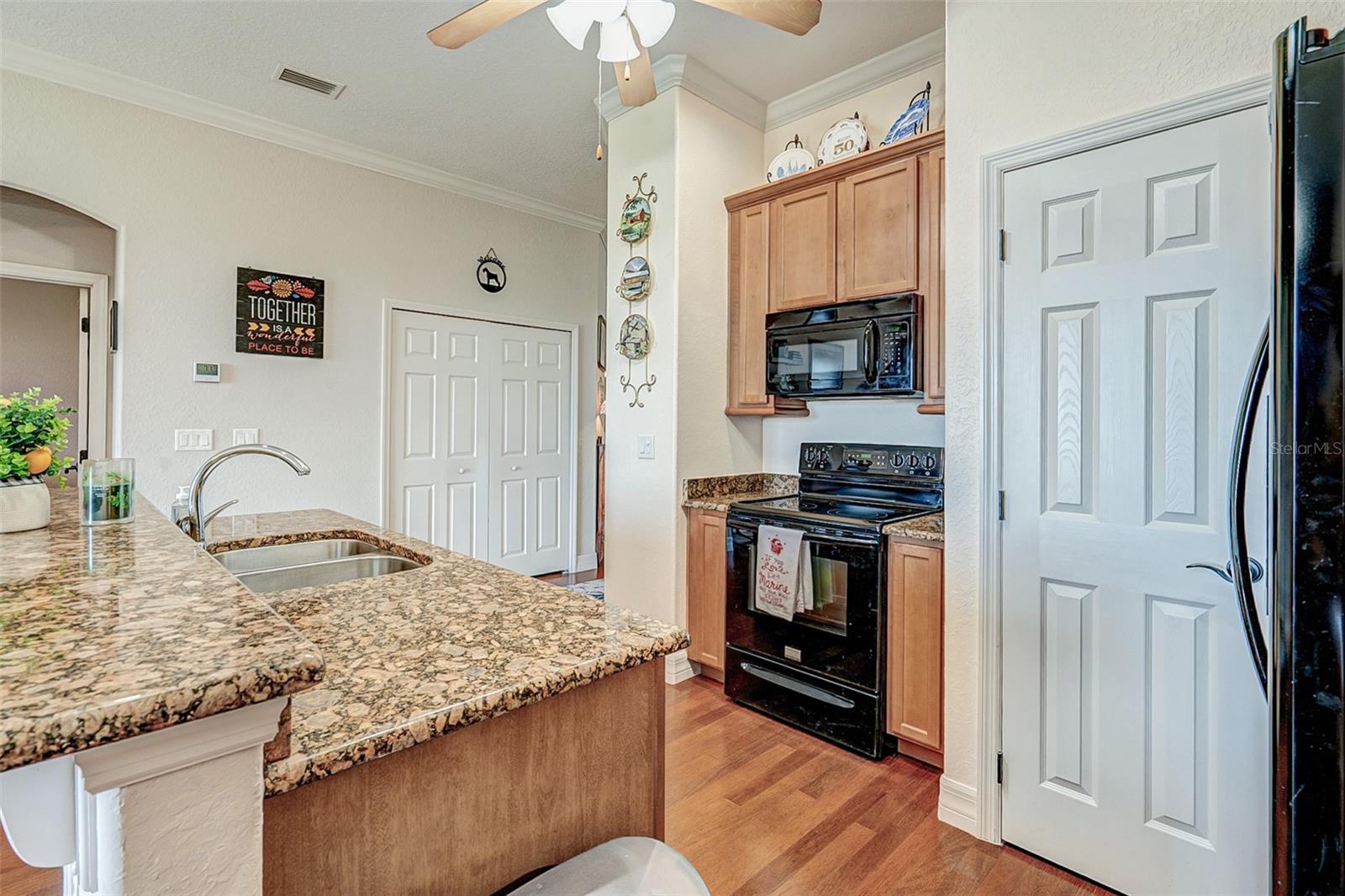 1037 GREEN GATE BLVD, GROVELAND, FL, 34736