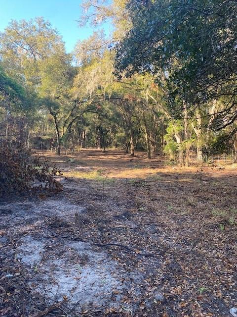 128 MOCKINGBIRD LN, LADY LAKE, FL, 32159