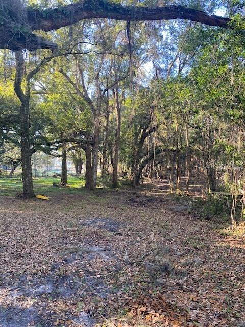 128 MOCKINGBIRD LN, LADY LAKE, FL, 32159