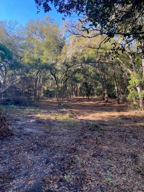 128 MOCKINGBIRD LN, LADY LAKE, FL, 32159