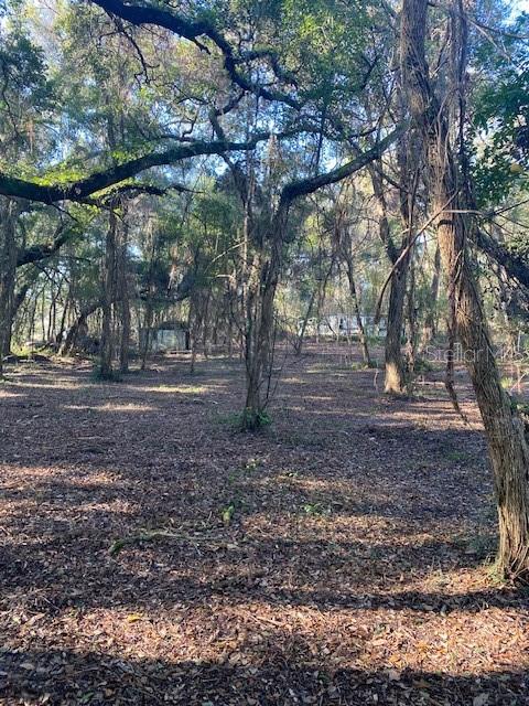 128 MOCKINGBIRD LN, LADY LAKE, FL, 32159