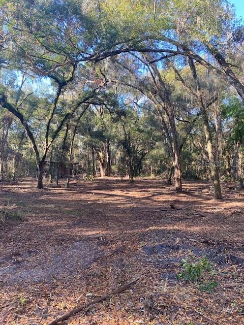 128 MOCKINGBIRD LN, LADY LAKE, FL, 32159