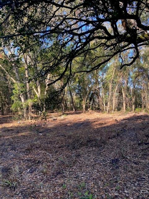 128 MOCKINGBIRD LN, LADY LAKE, FL, 32159