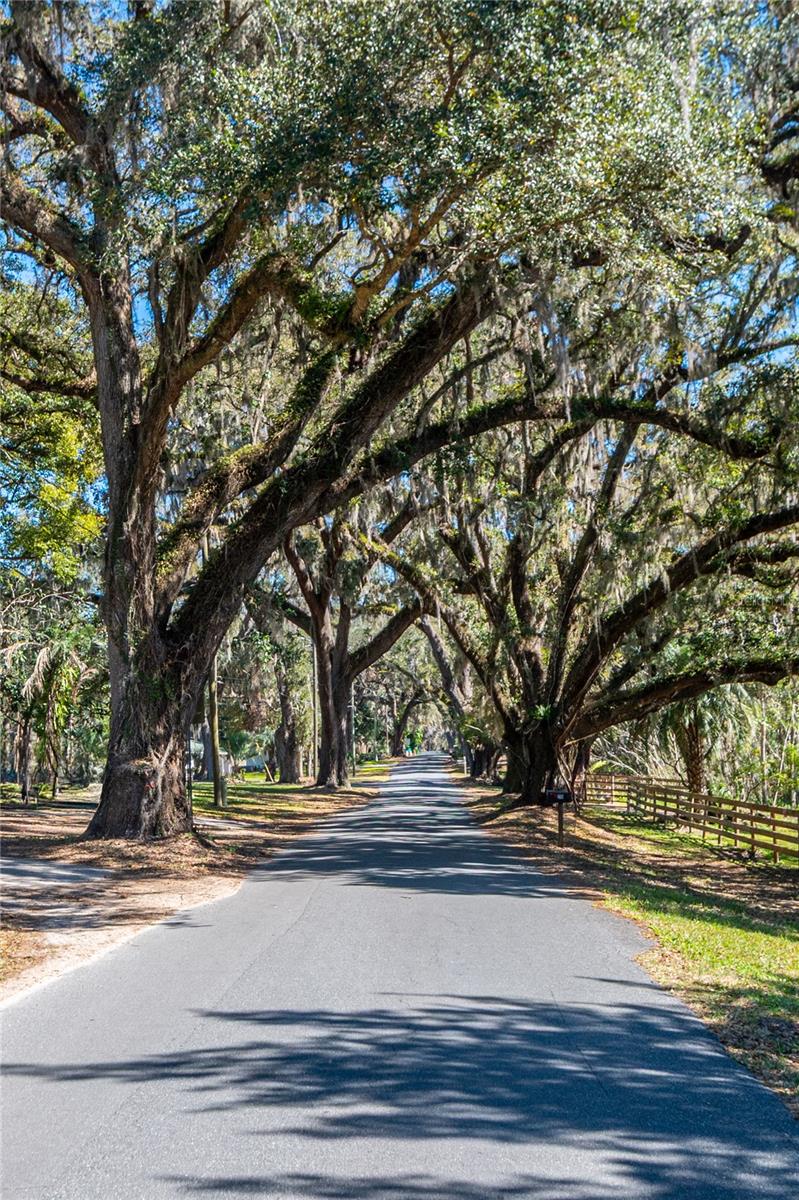 128 MOCKINGBIRD LN, LADY LAKE, FL, 32159