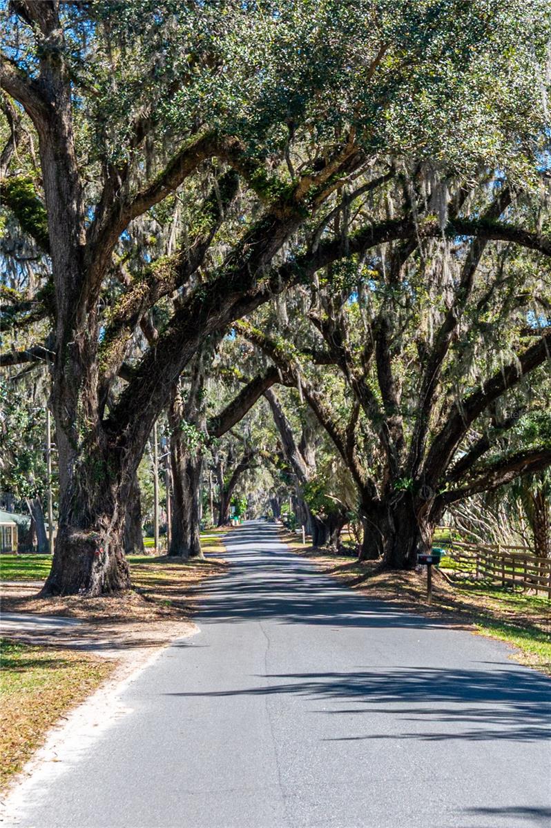 128 MOCKINGBIRD LN, LADY LAKE, FL, 32159