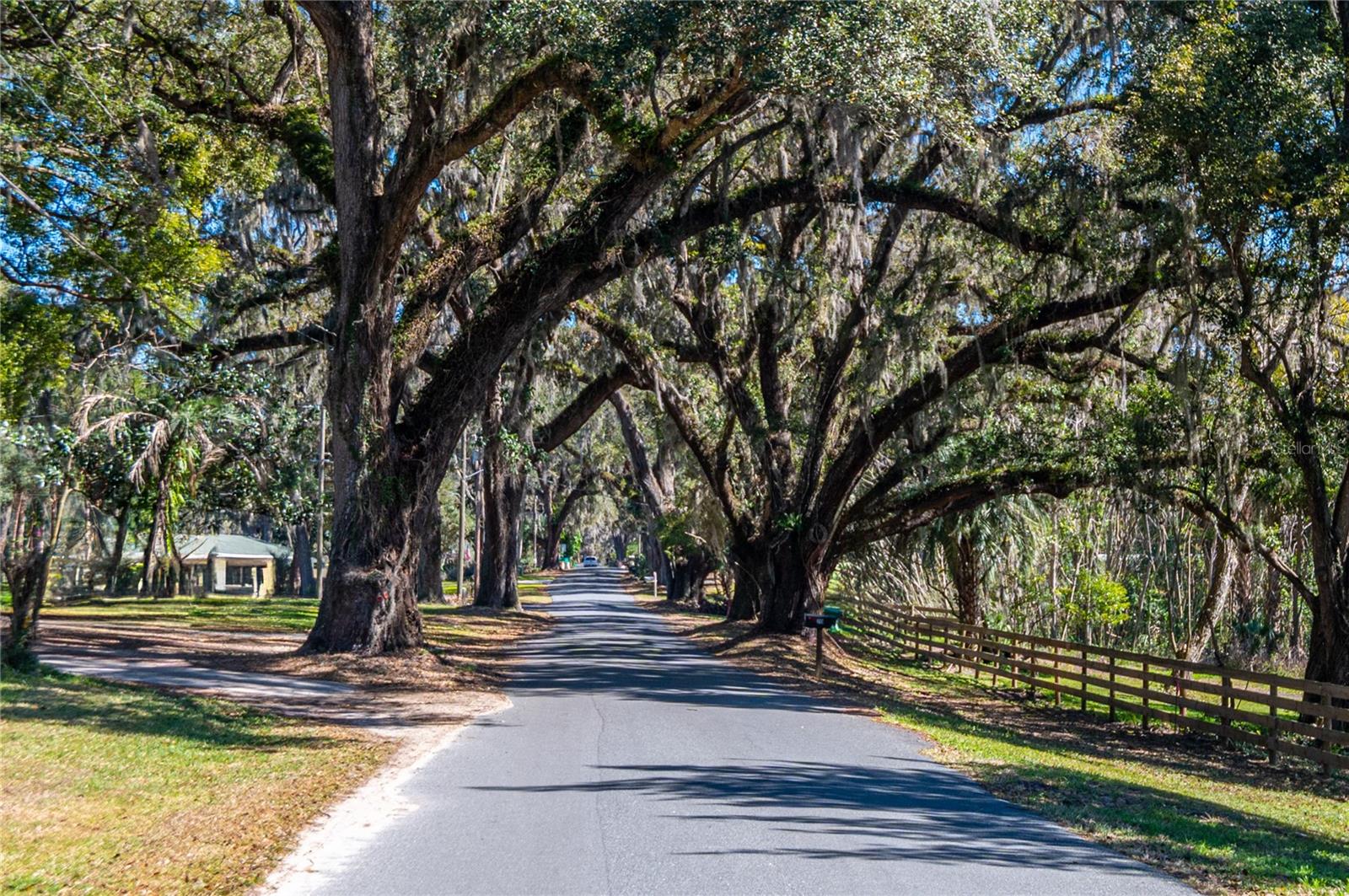 128 MOCKINGBIRD LN, LADY LAKE, FL, 32159