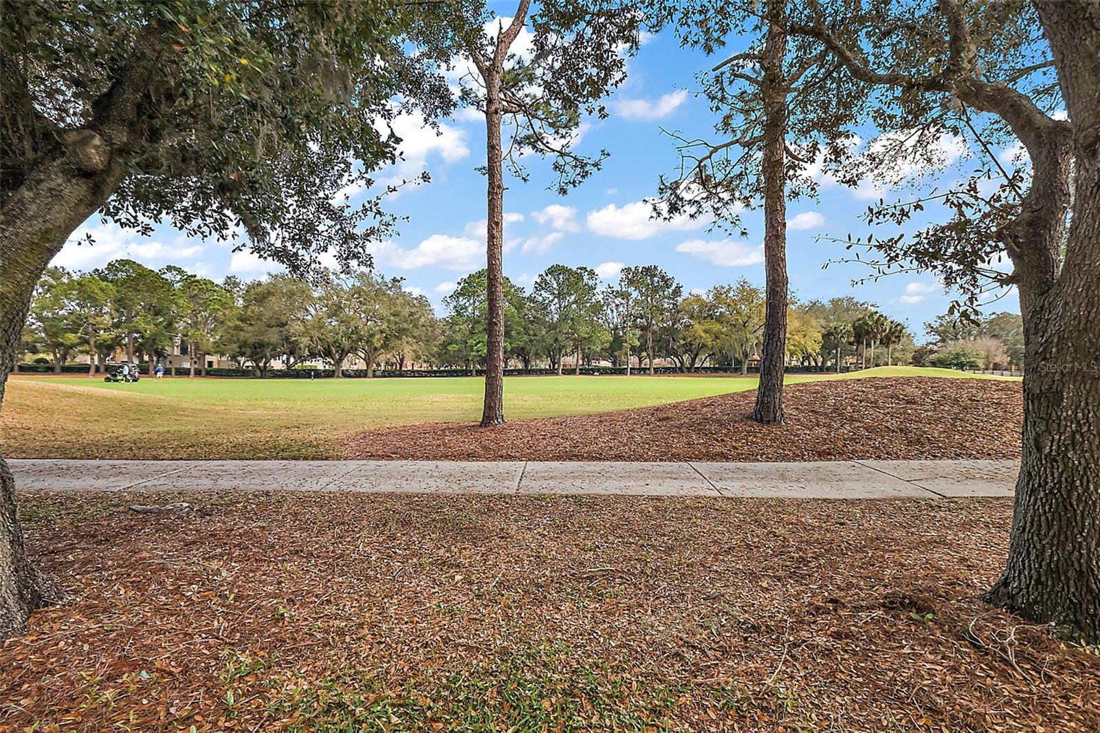 1209 BARCELONA DR, THE VILLAGES, FL, 32159