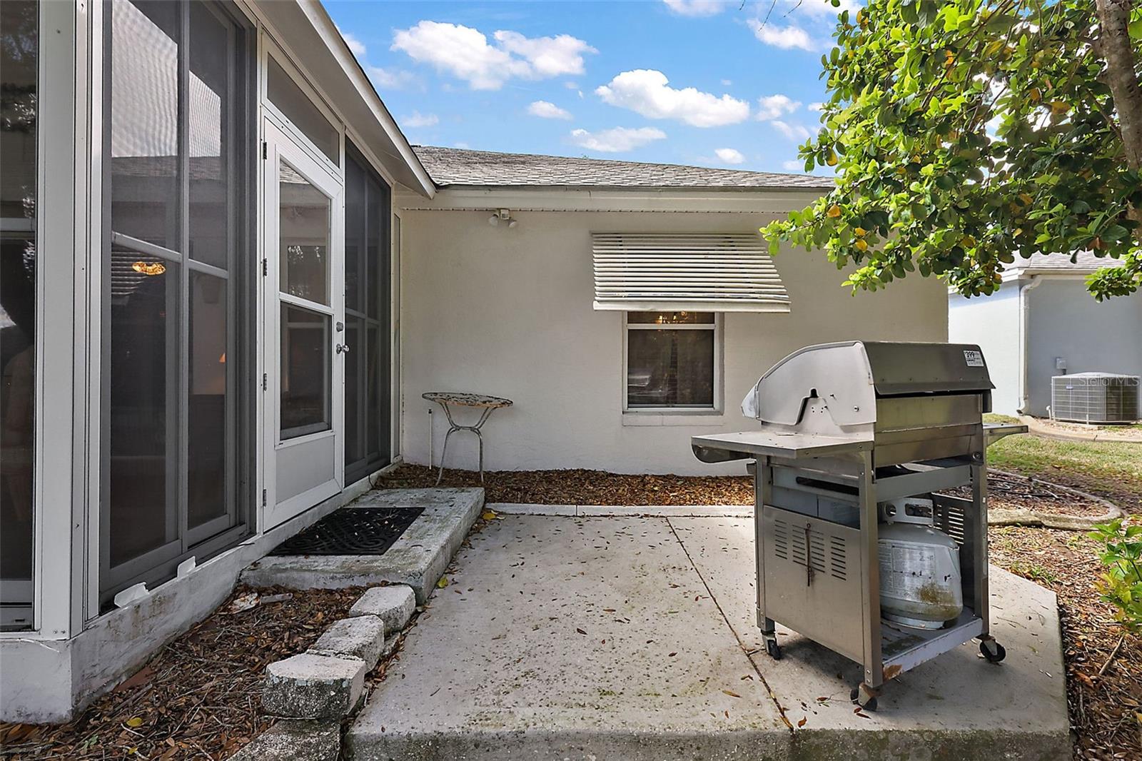 1209 BARCELONA DR, THE VILLAGES, FL, 32159