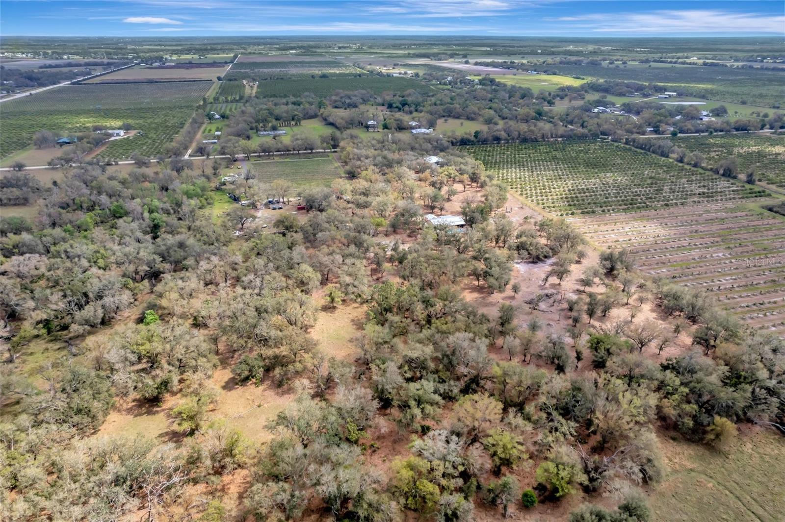 1703 SW ADDISON AVE, ARCADIA, FL, 34266