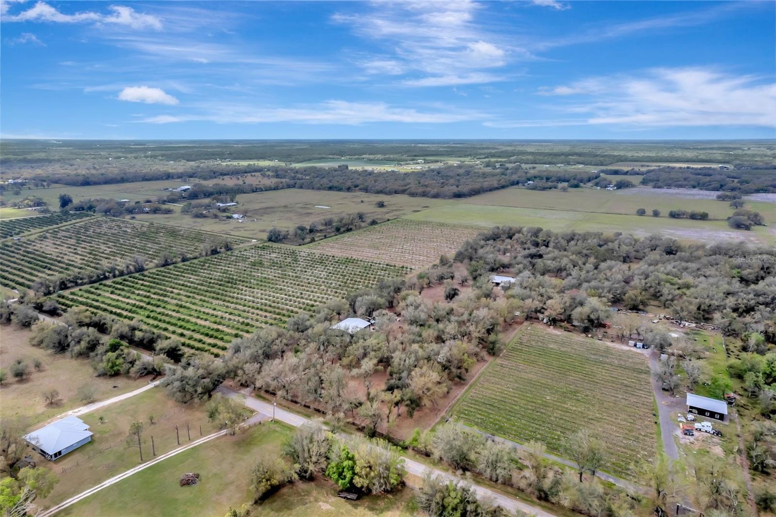1703 SW ADDISON AVE, ARCADIA, FL, 34266