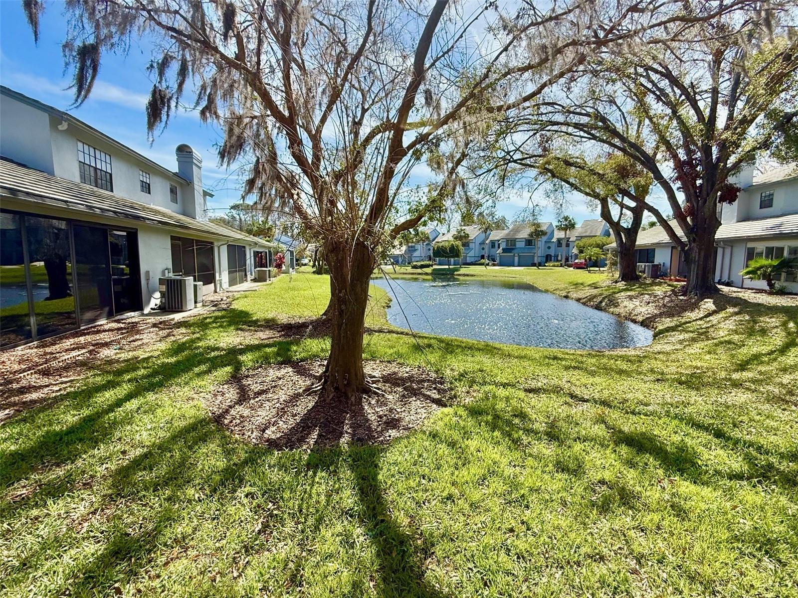 4140 BRENTWOOD PARK CIR, TAMPA, FL, 33624