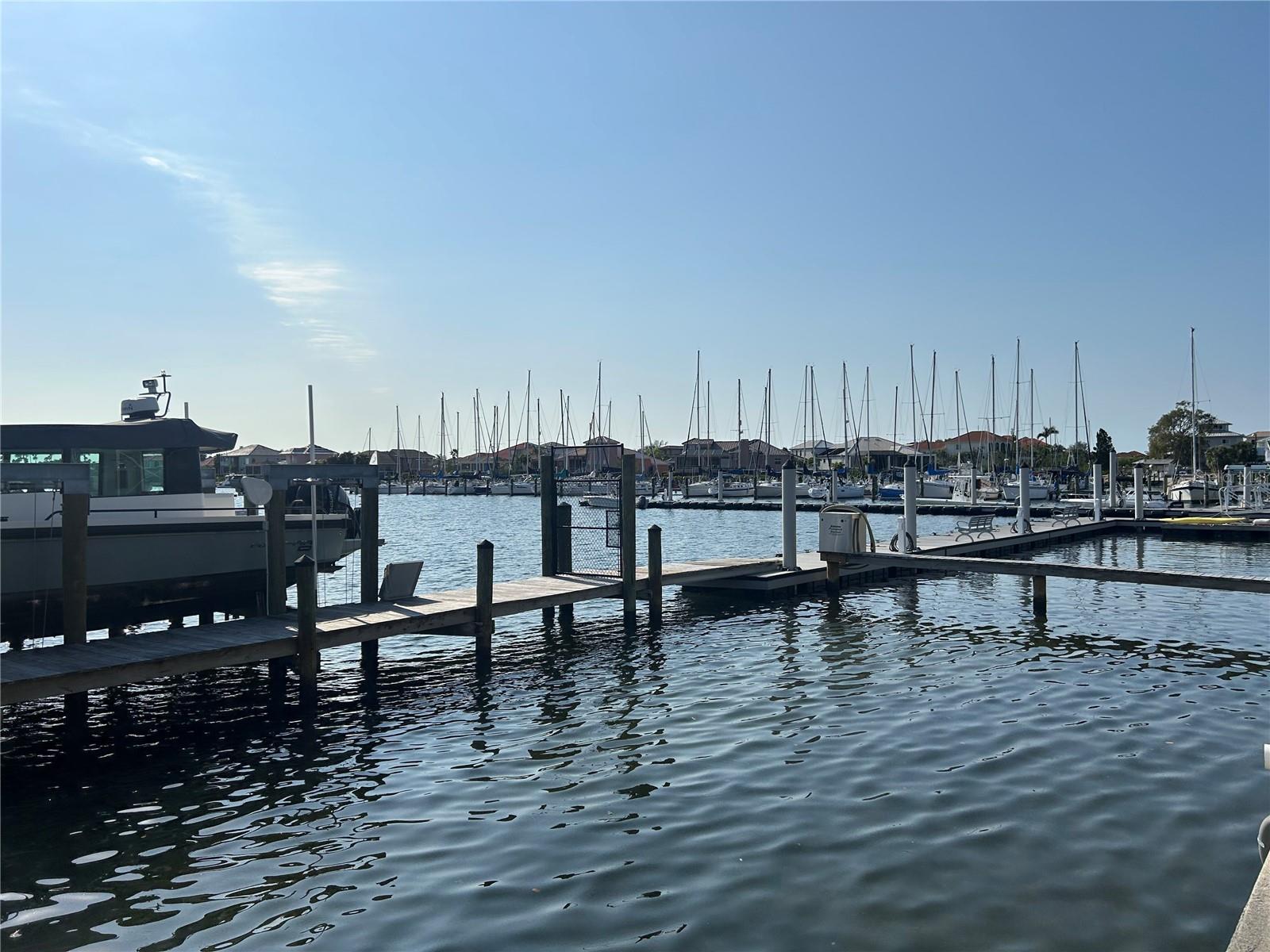 6411 MAYRA SHORES LN, APOLLO BEACH, FL, 33572