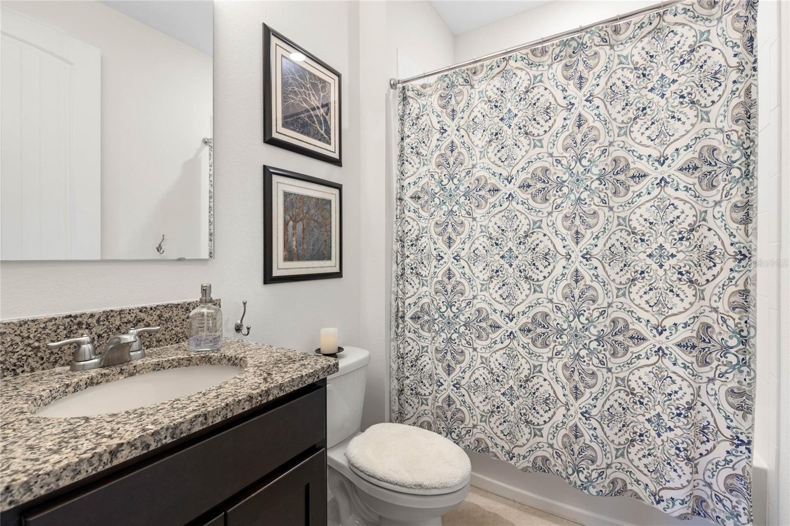17369 BLAZING STAR CIR, CLERMONT, FL, 34714