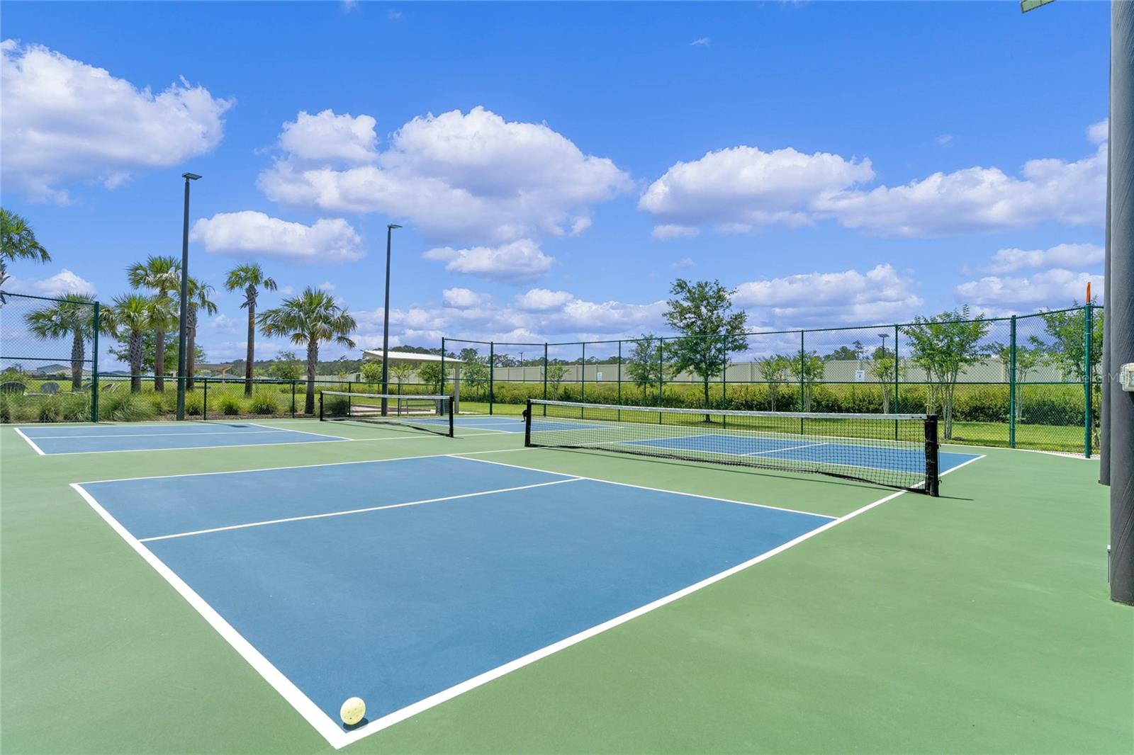 17369 BLAZING STAR CIR, CLERMONT, FL, 34714