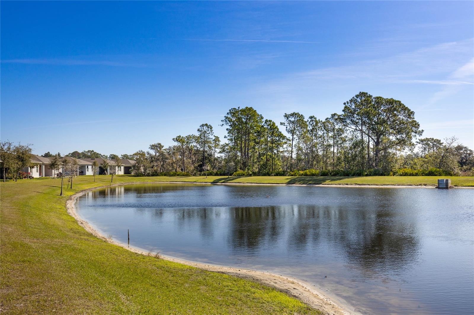 17369 BLAZING STAR CIR, CLERMONT, FL, 34714