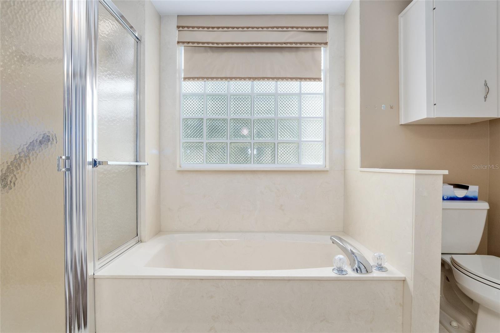 8223 SW 113TH LN, OCALA, FL, 34481